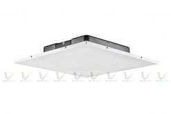 Loa âm trần JBL LCT 81C/T