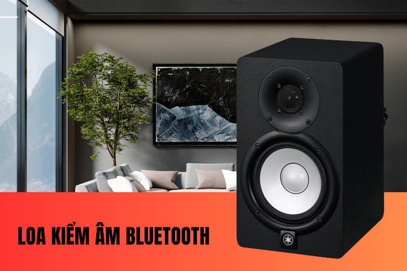 Loa kiểm âm bluetooth Loa kiểm âm bluetooth